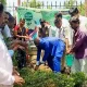 World Environment Day celebration in Chincholi