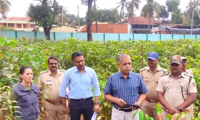 Uttara Kannada News Plantation program of 9 .95 lakh saplings in Yallapur forest division