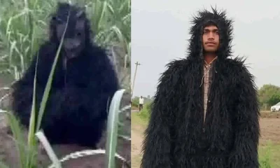farmer become bear