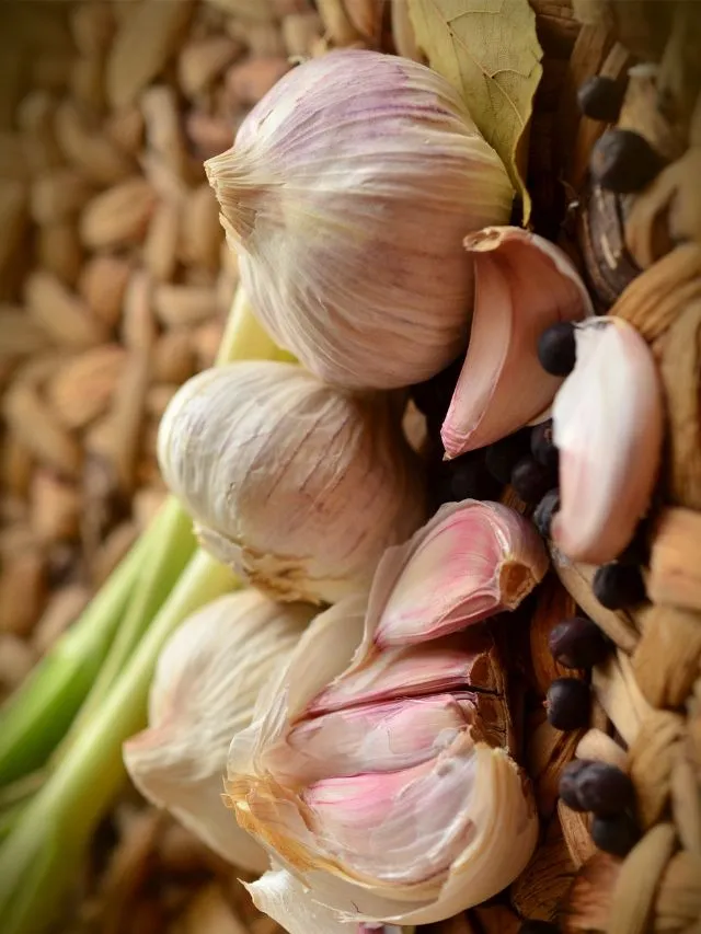 Benefits Of Garlic: ಬೆಳ್ಳುಳ್ಳಿಯಿಂದ ಏನೇನು ಪ್ರಯೋಜನಗಳಿವೆ ನೋಡಿ