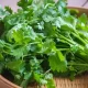 coriander leaves