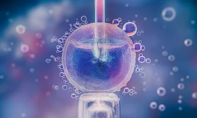 Synthetic Embryo