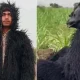 farmers-in-bear-costume