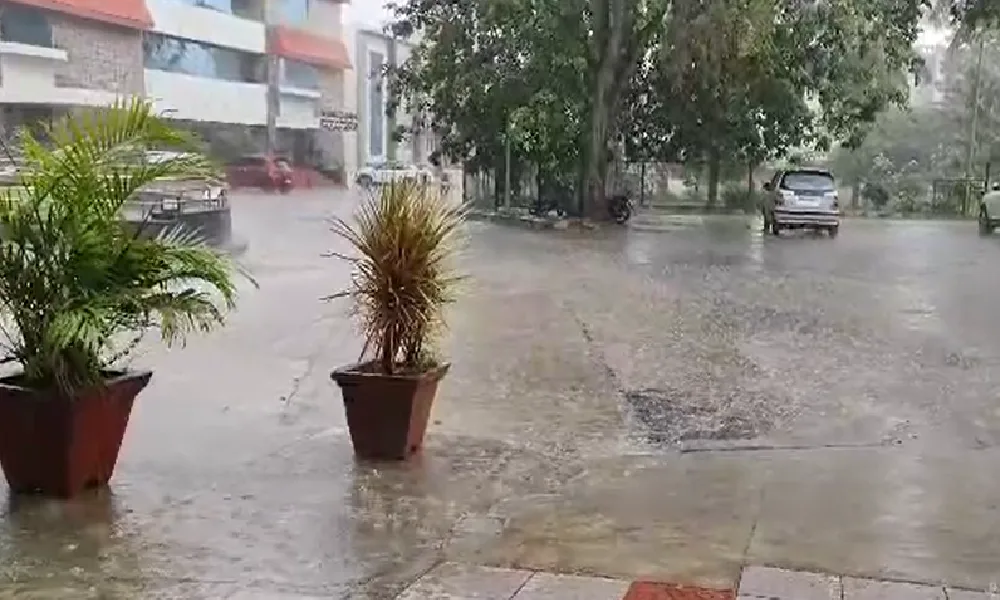 Hasana Rain