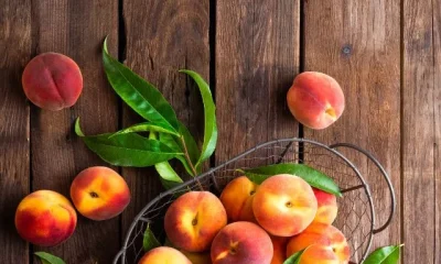 images of Benefits Of Peach