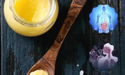 images of Ghee Health Benefits