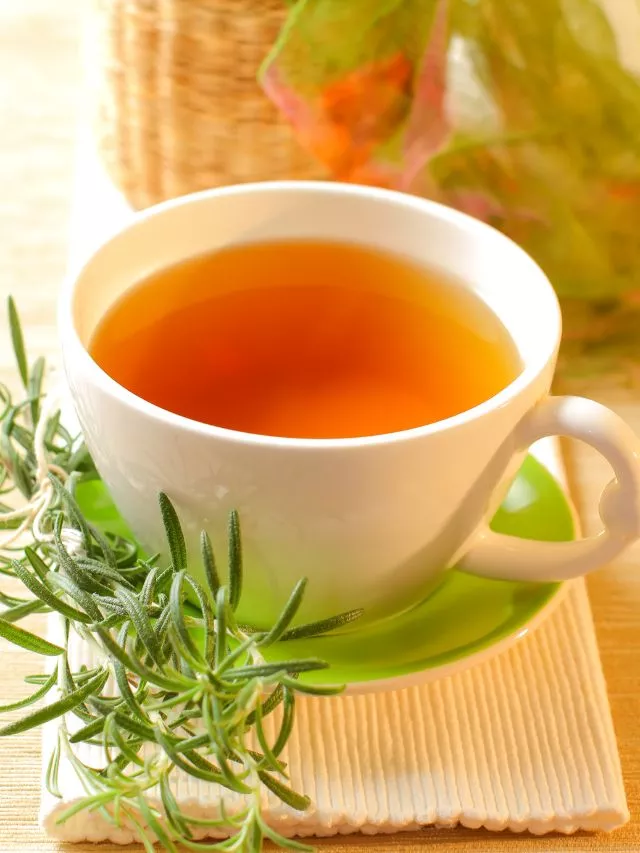 Health Benefits Of Rosemary Tea: ರೋಸ್‌ಮೆರಿ ಚಹಾದಿಂದ ಆರೋಗ್ಯಕ್ಕೇನು ಲಾಭ?