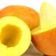 mango seed