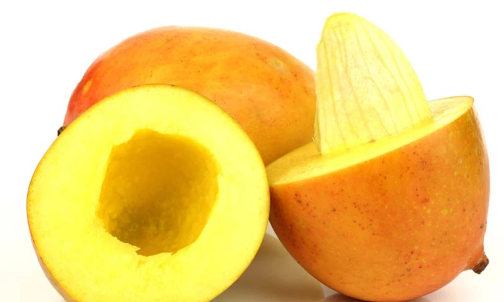 mango seed