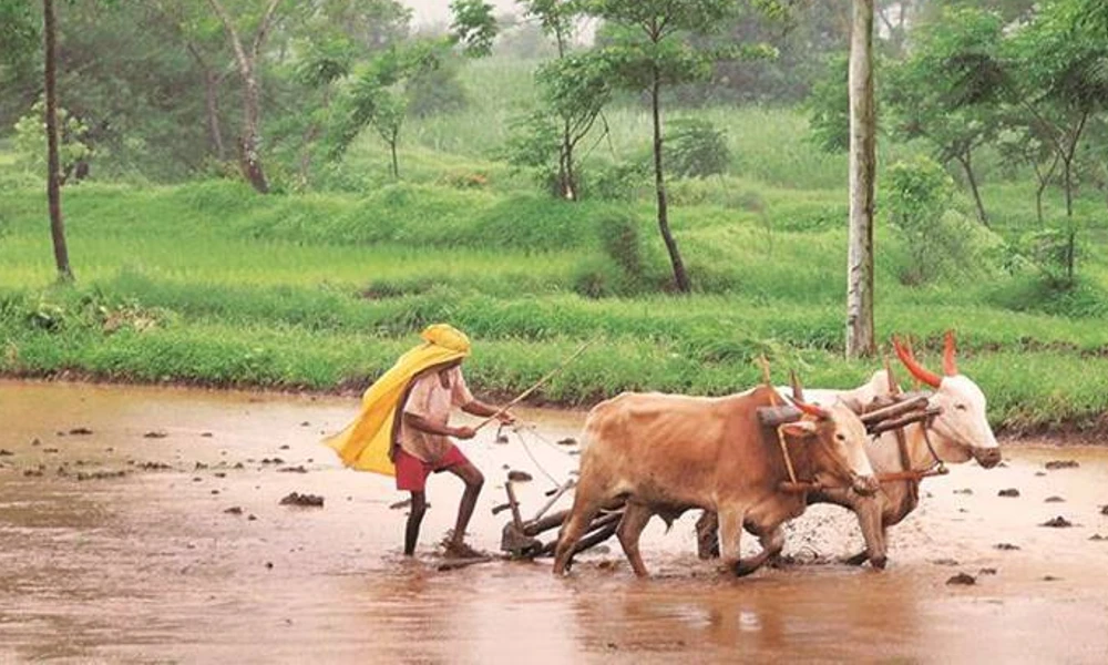 farmer in monsoon