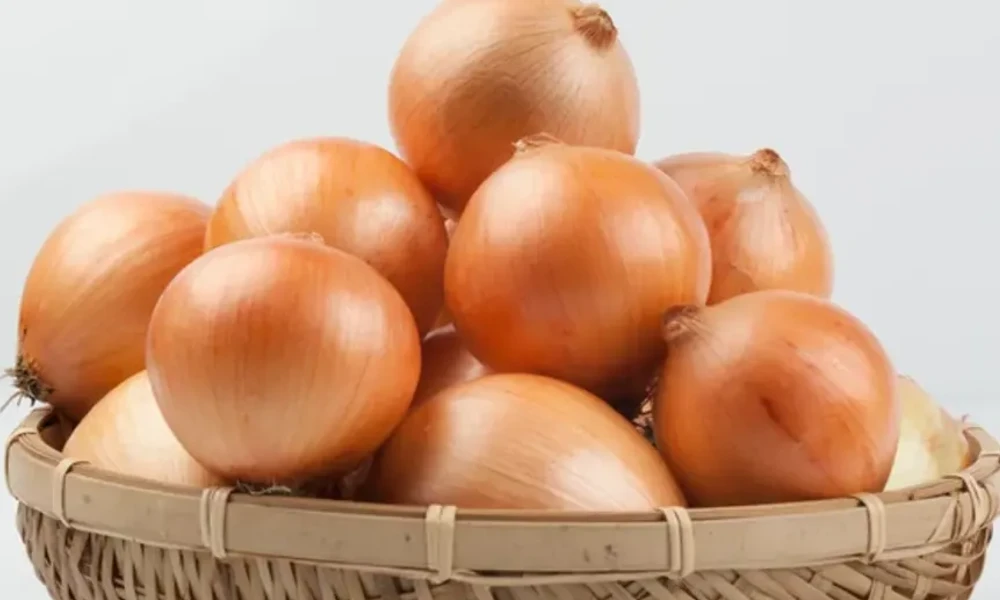 keeping onion fresh
