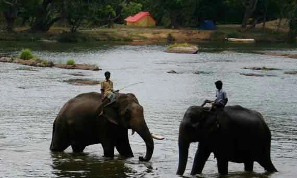 sakrebailu elephant camp