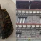 tortoise found while loka raid