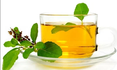10 health benefits of tulsi leaves