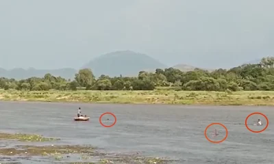 youths rescued in Kaveri river