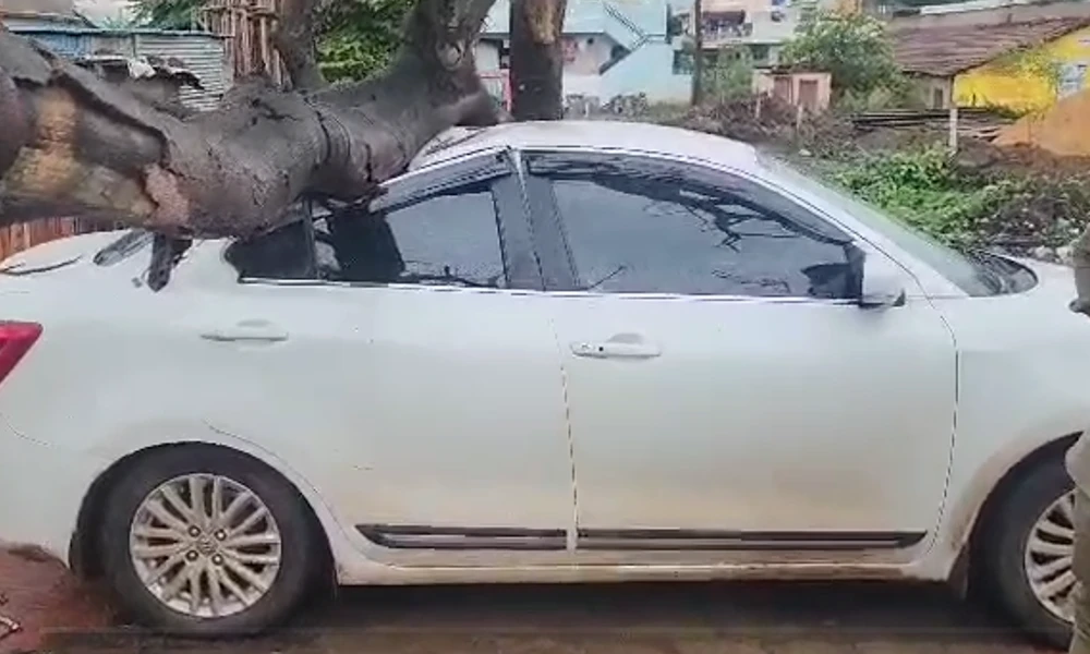 Tree falling on the car