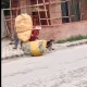 Dog Helps Woman