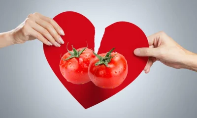 Fight Between Husband And Wife For Tomatoes