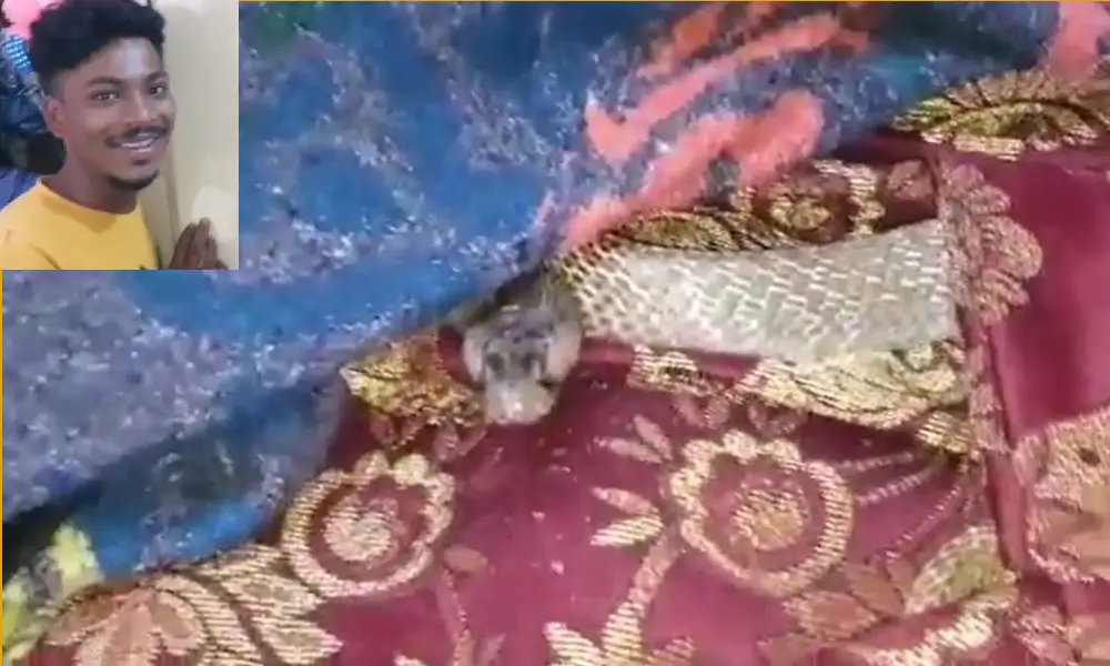 Snake found at bed in prajwals home