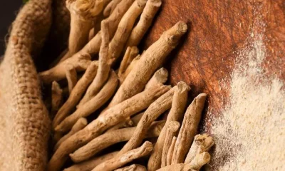 Image Of Ashwagandha Benefits