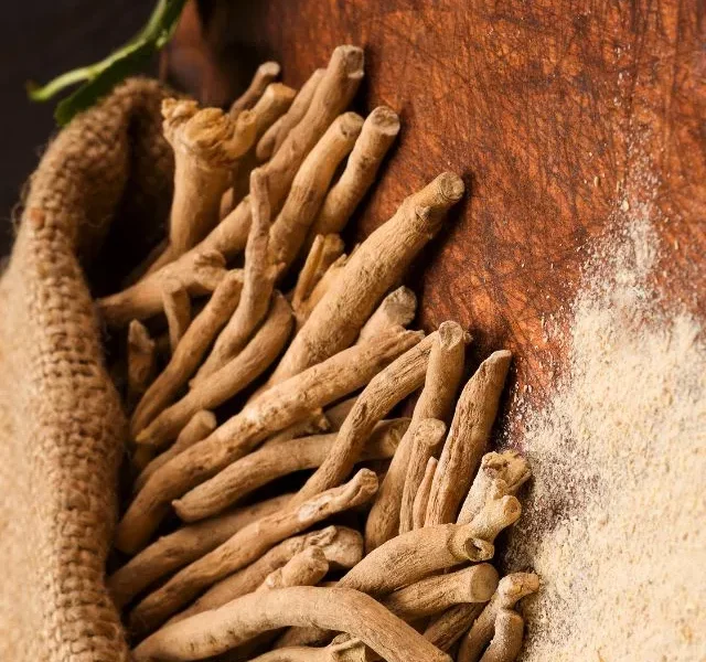 Image Of Ashwagandha Benefits