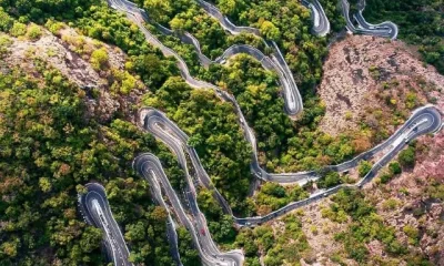 Image of Beautiful Forests In India