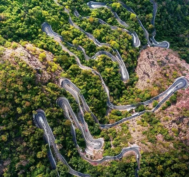 Image of Beautiful Forests In India