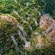 Image of Beautiful Forests In India