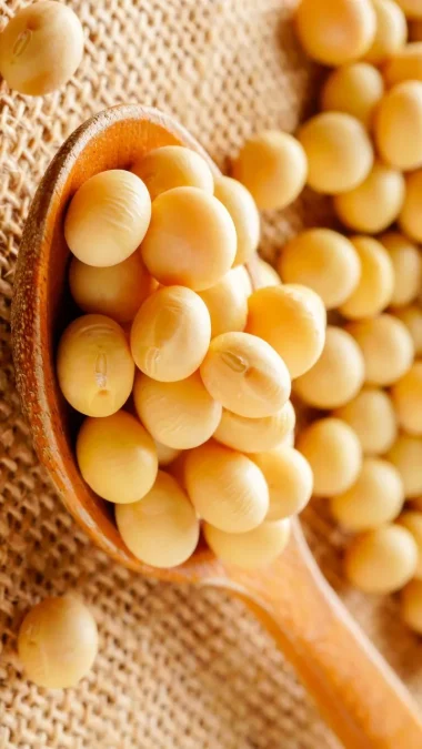 It provides good protein for vegetarians Soybeans Benefits