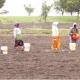 Lack of rain Water for crops by tankers from farmers in Raichur