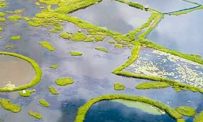 Largest Lake in India