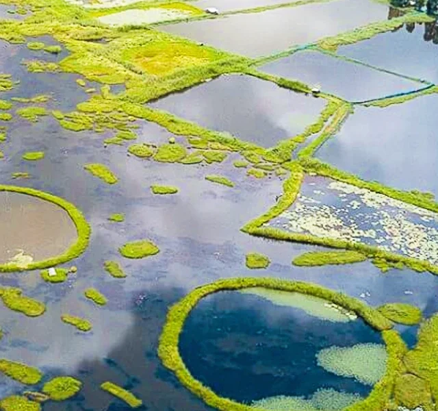 Largest Lake in India