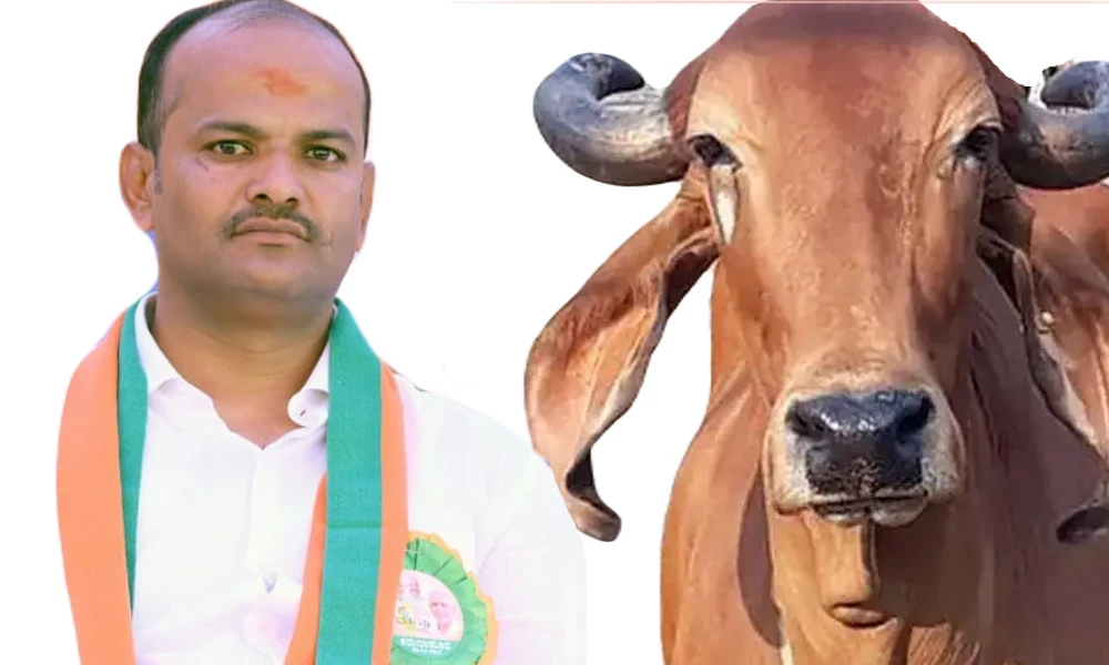MLA stops sharanu salagar cow slaughter in Basavakalyan