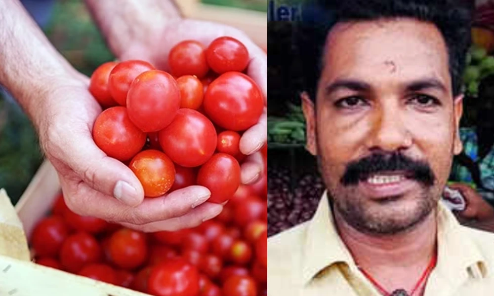 Man Sells Tomato At 20 Rs Per KG
