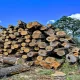 Man Who Cut Trees has to pay huge fine