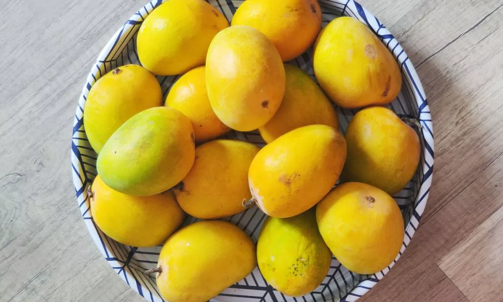 Mango Breeds