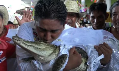 Mexican mayor marries his female crocodile