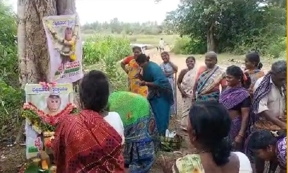 11 day of death ceremony of monkey in Mandya- Final salute by women