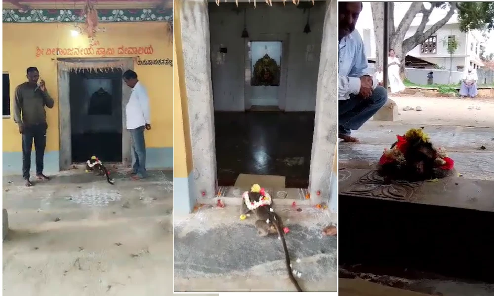 Monkey death in temple at anekal