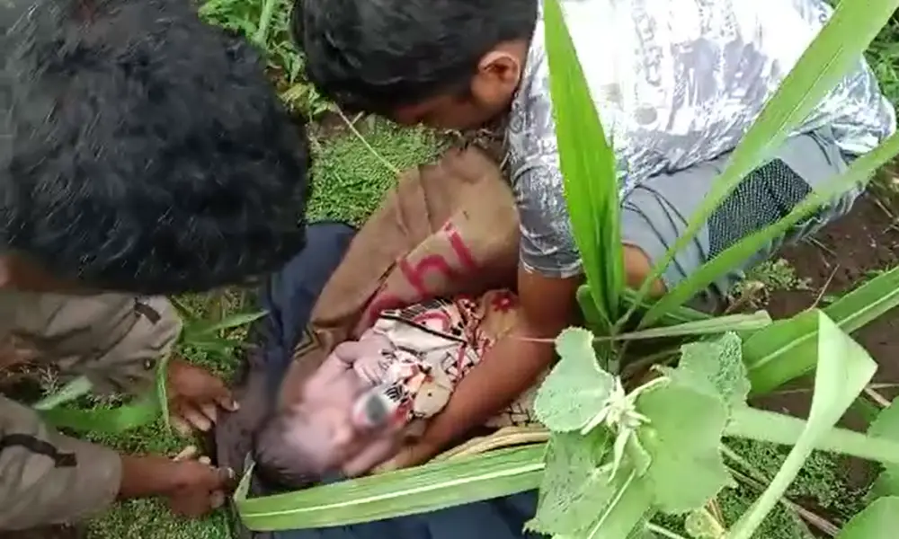 New born child abondoned in sugarcane field