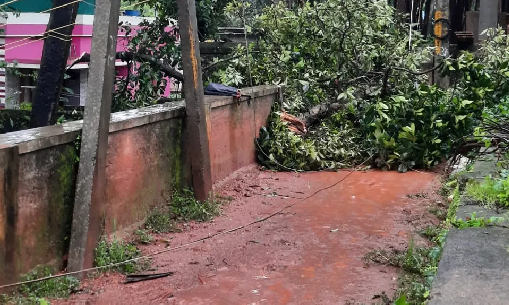 Rain Effect power linecut in suratkal