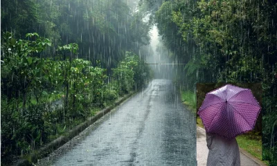 Rain Image