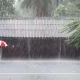 Rain News