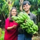 Raja Marga vivek and Brinda Farmers