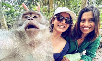 Samantha Ruth Prabhu selfie with monkey