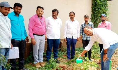 Sapling planting program at Hulasur