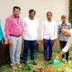 Sapling planting program at Hulasur
