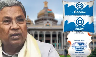Siddaramaiah Cabinet Nandini milk price hike