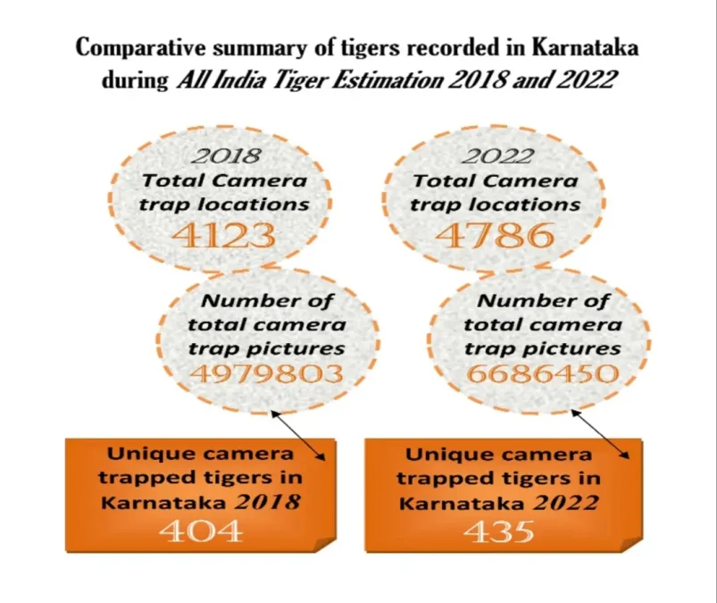 Tiger Census infomation