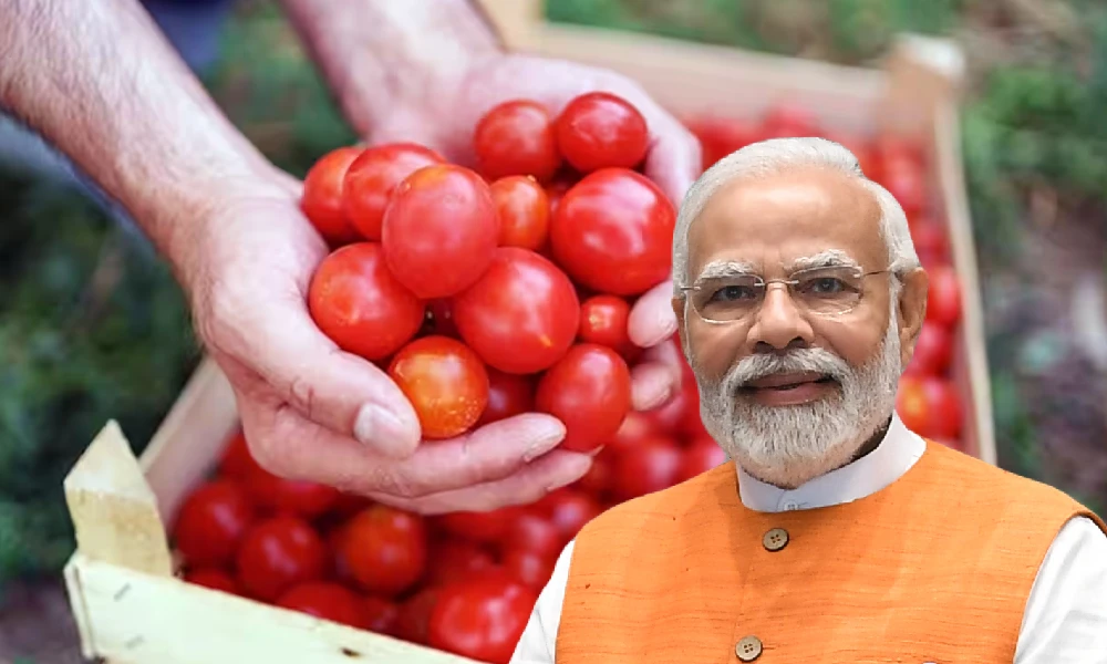 Tomato Challenge By Central Government